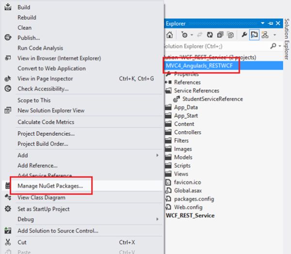 manage nuget packages